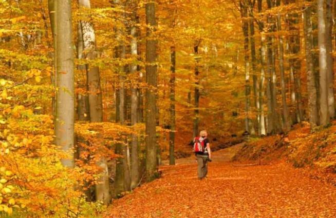 3 Sterne Ferienwohnung Pape Schmallenberg Kültér fotó